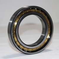 Factory price N2204 E EM M cylindrical roller bearing N2204 bearing