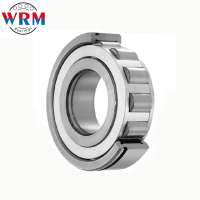 WRM Factory Supply customized Cylindrical rollerbearing NJ1004M Size 20x42x12mm